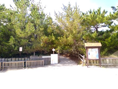 StPetersBeachinCapeMayPoint