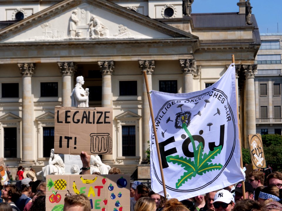 StopTheWaste FÖJ demonstration 60