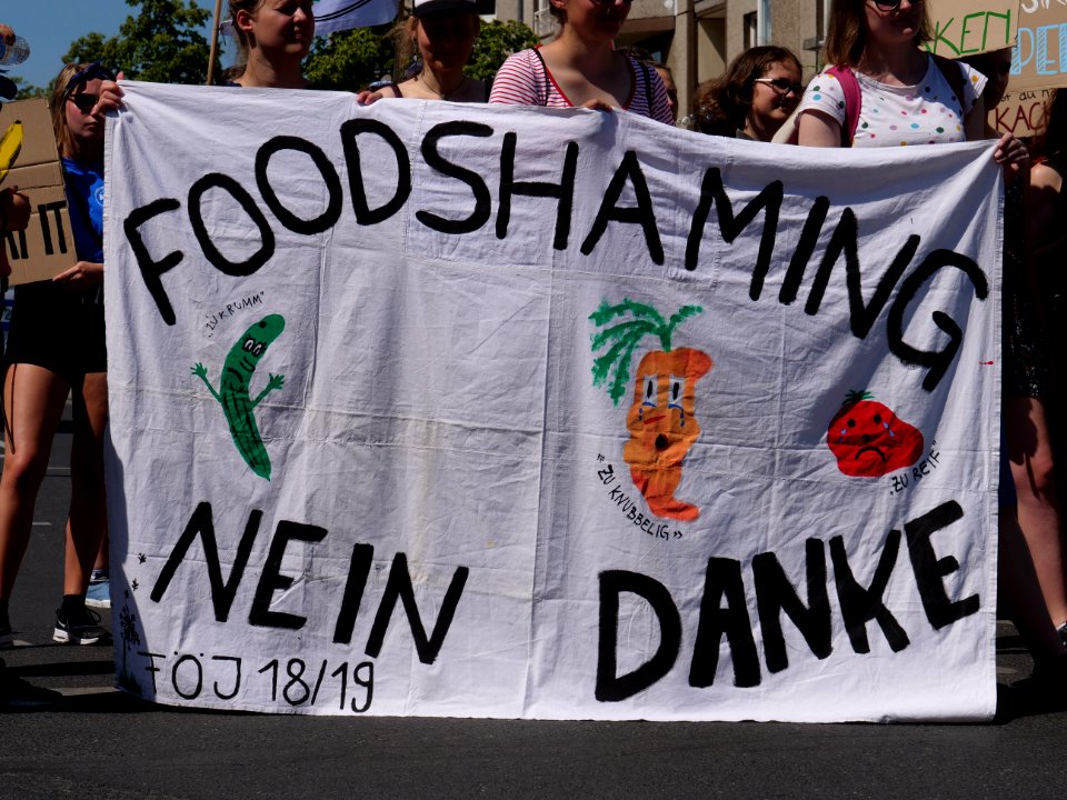 StopTheWaste FÖJ demonstration 93
