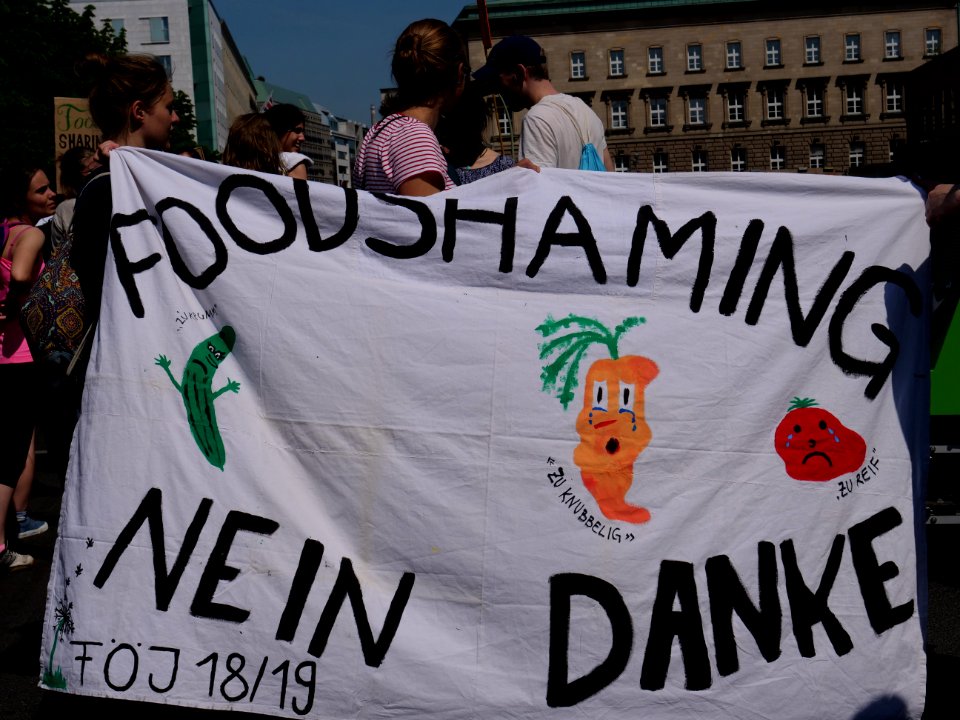StopTheWaste FÖJ demonstration 90