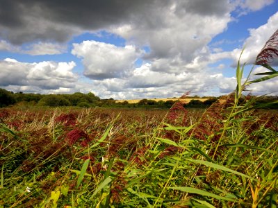 Stormy clouds, Combe Valley Countryside Park, Bexhill
