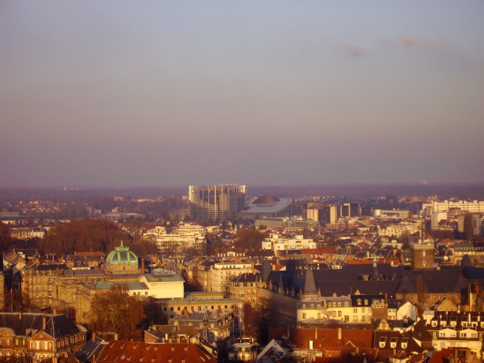 Straßburg Blick vom Münster 7