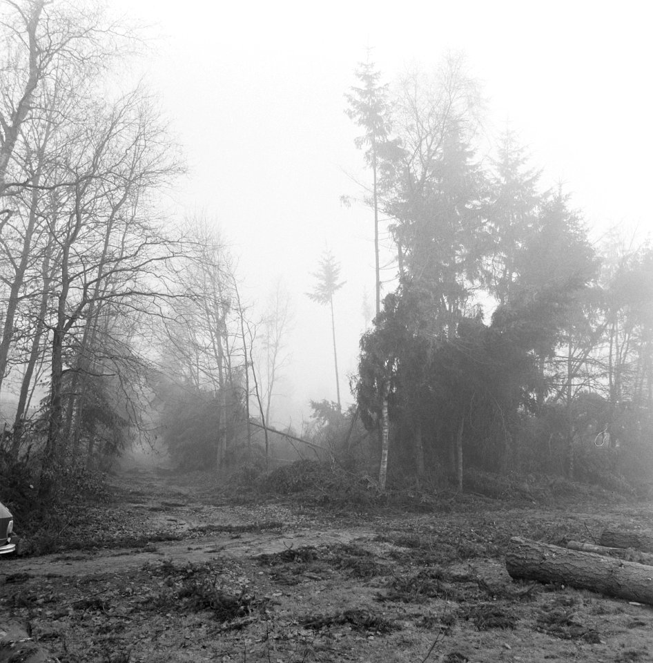 Stormschade, bossen, Bestanddeelnr 167-0945