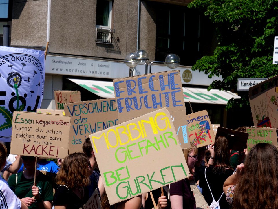 StopTheWaste FÖJ demonstration 87