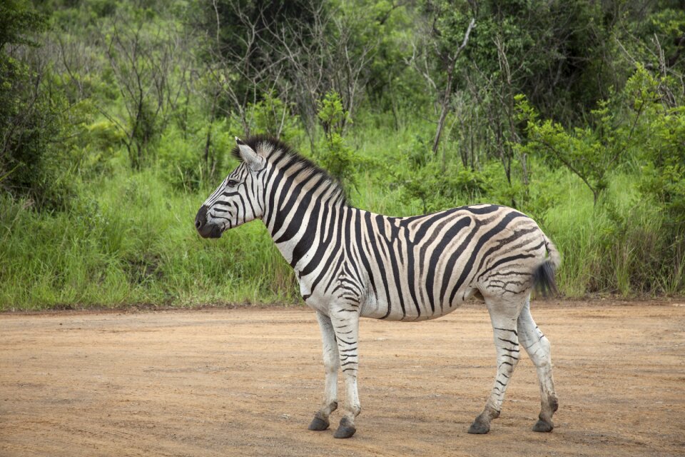 Travel nature tourism