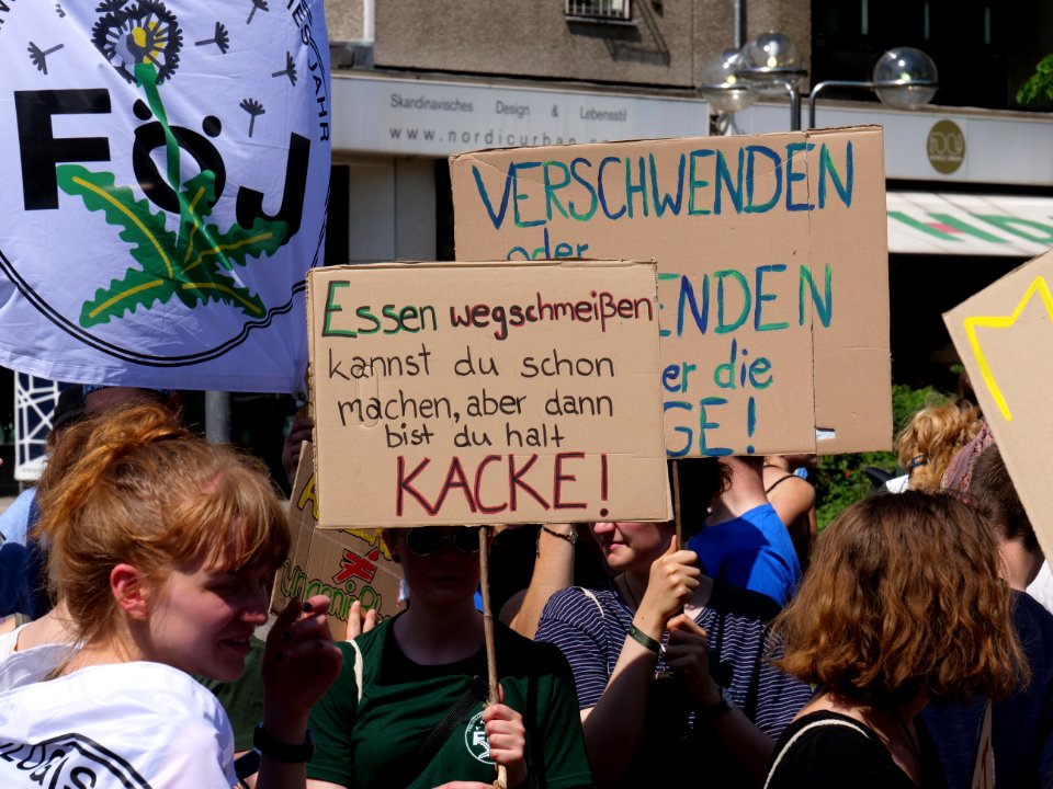 StopTheWaste FÖJ demonstration 88