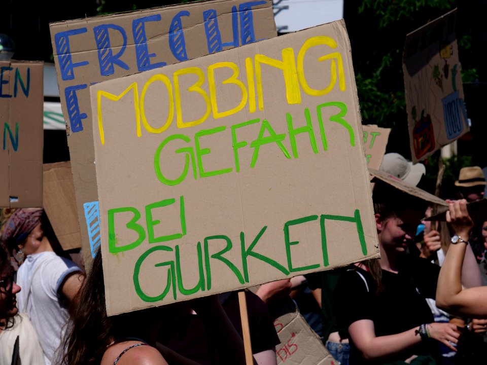 StopTheWaste FÖJ demonstration 89
