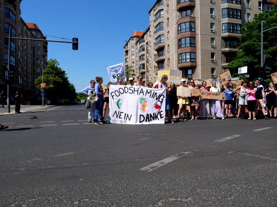 StopTheWaste FÖJ demonstration 91