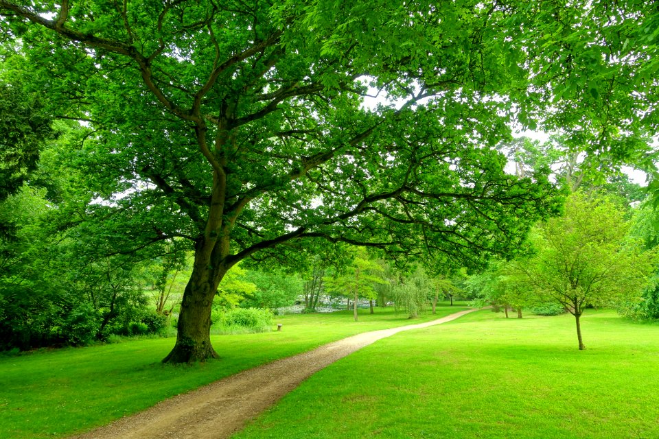 Stowe Gardens - Buckinghamshire, England - DSC07425