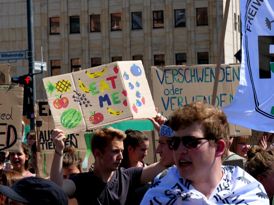 StopTheWaste FÖJ demonstration 82