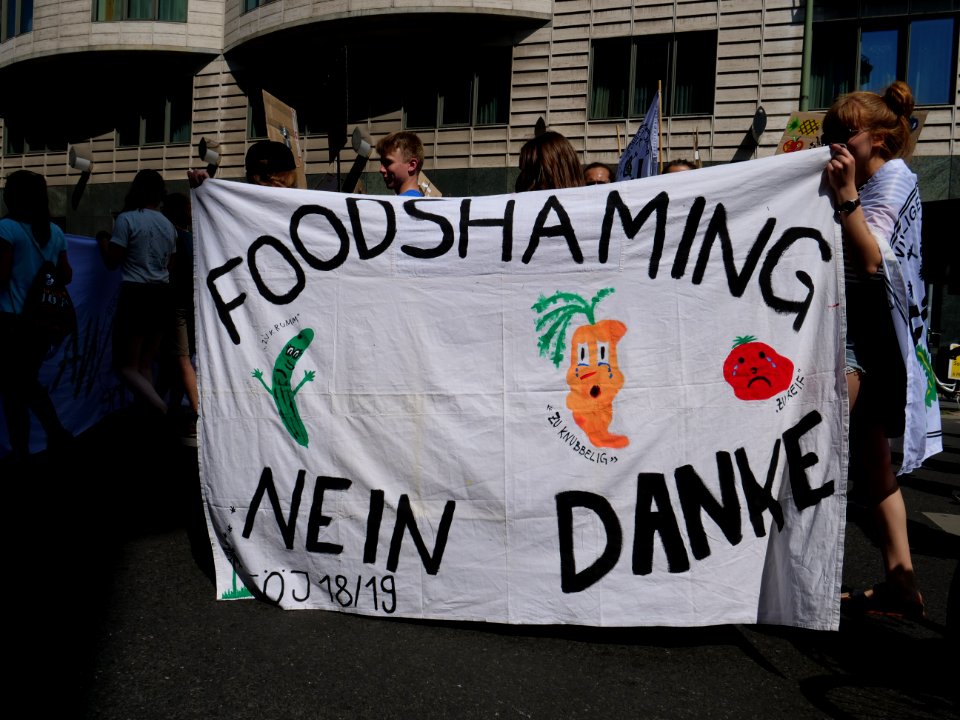 StopTheWaste FÖJ demonstration 75