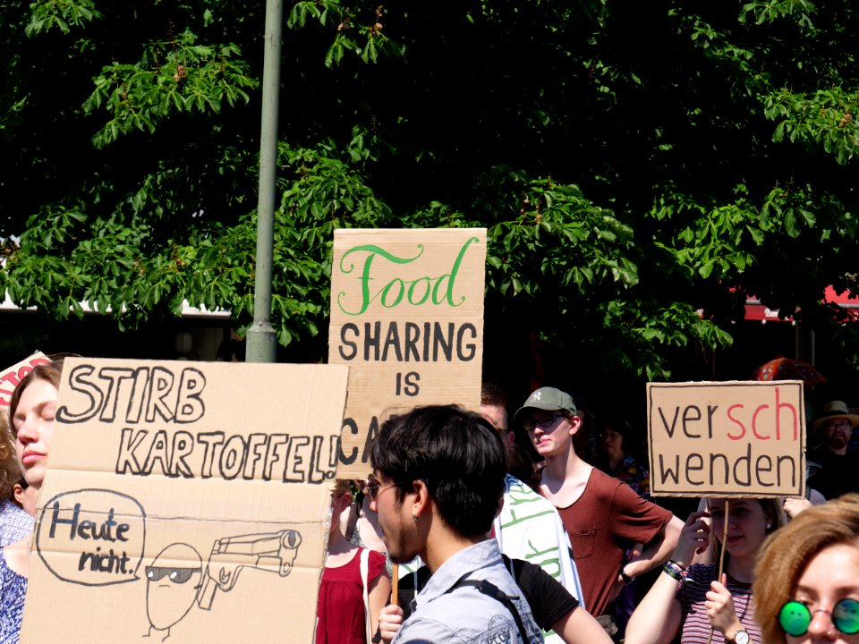 StopTheWaste FÖJ demonstration 97