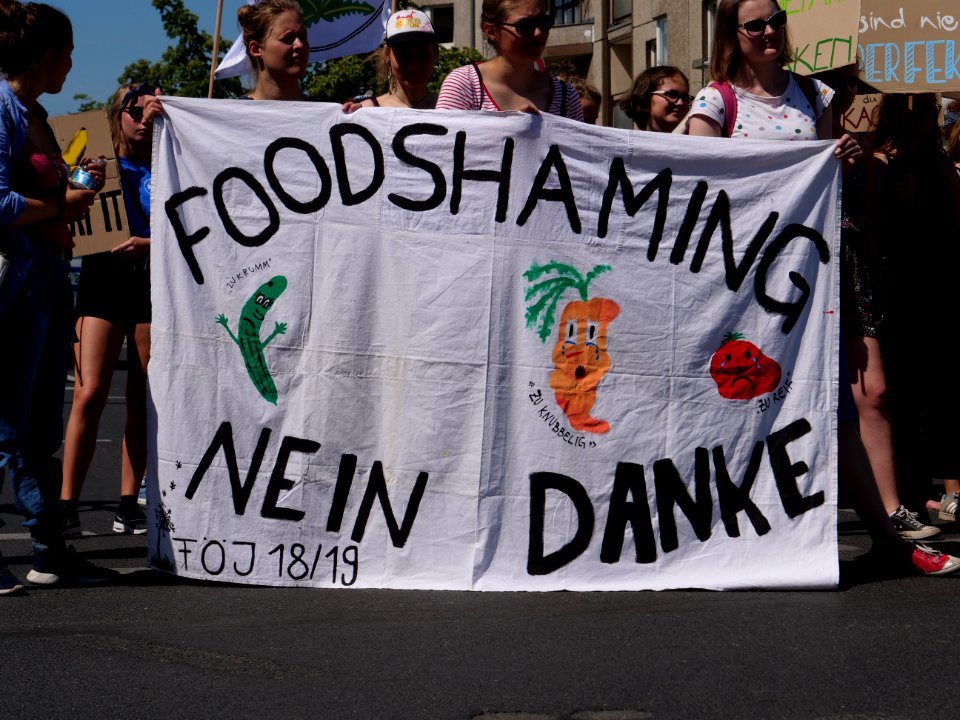 StopTheWaste FÖJ demonstration 92