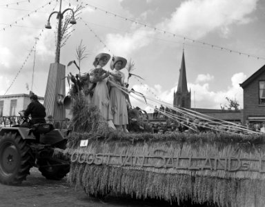 Stoppelhaenefeest in Raalte. Corso, Bestanddeelnr 908-8869