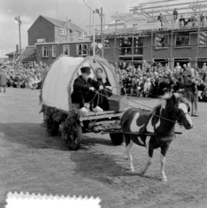 Stoppelhaene (roggeoogstfeest), bindwedstrijd, Bestanddeelnr 916-7910