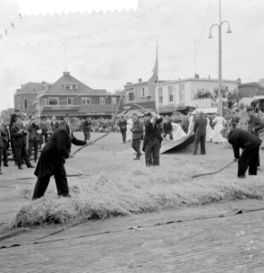 Stoppelhaene (roggeoogstfeest), bindwedstrijd, Bestanddeelnr 916-7896