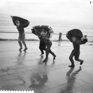 Storm langs de Noordzeekust, Bestanddeelnr 911-7329