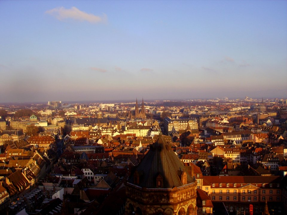 Straßburg Blick vom Münster 5