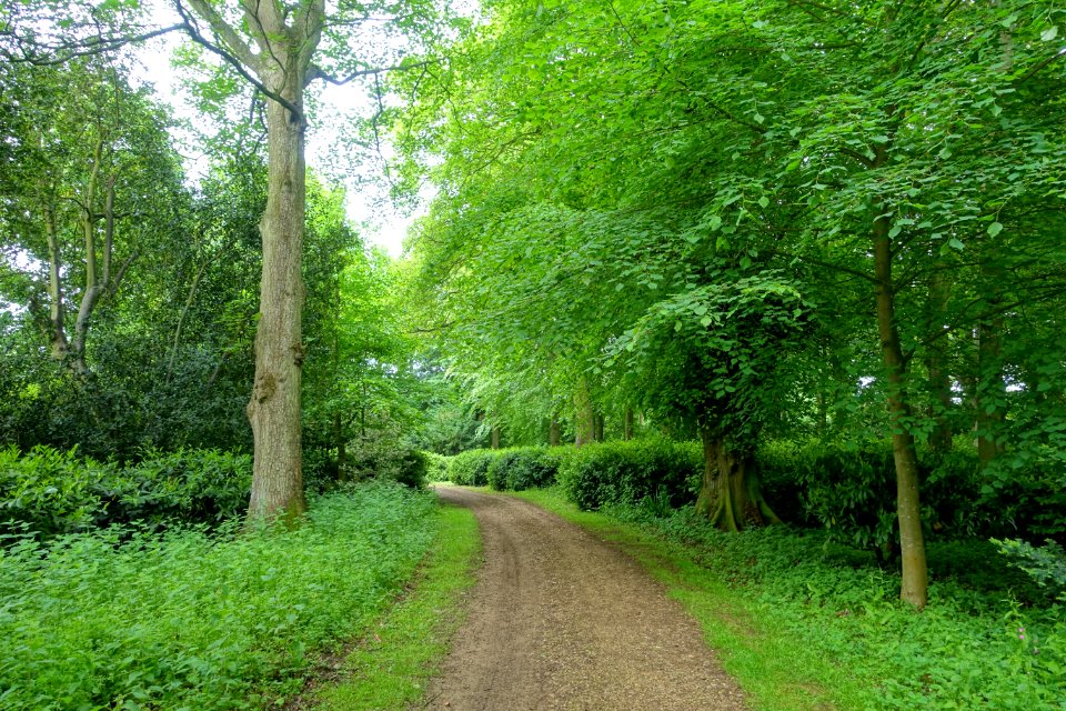 Stowe Gardens - Buckinghamshire, England - DSC07953