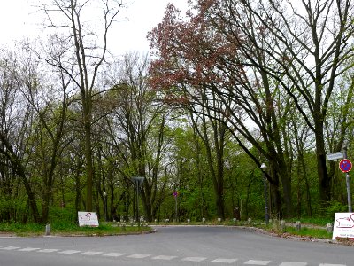 Straße am Schildhorn Berlin-Grunewald