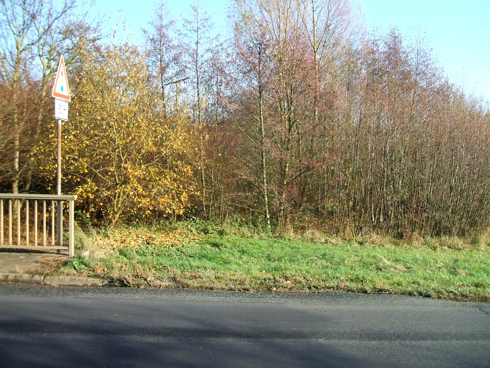 Straßbach, Mündungsgebiet 1