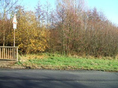 Straßbach, Mündungsgebiet 1