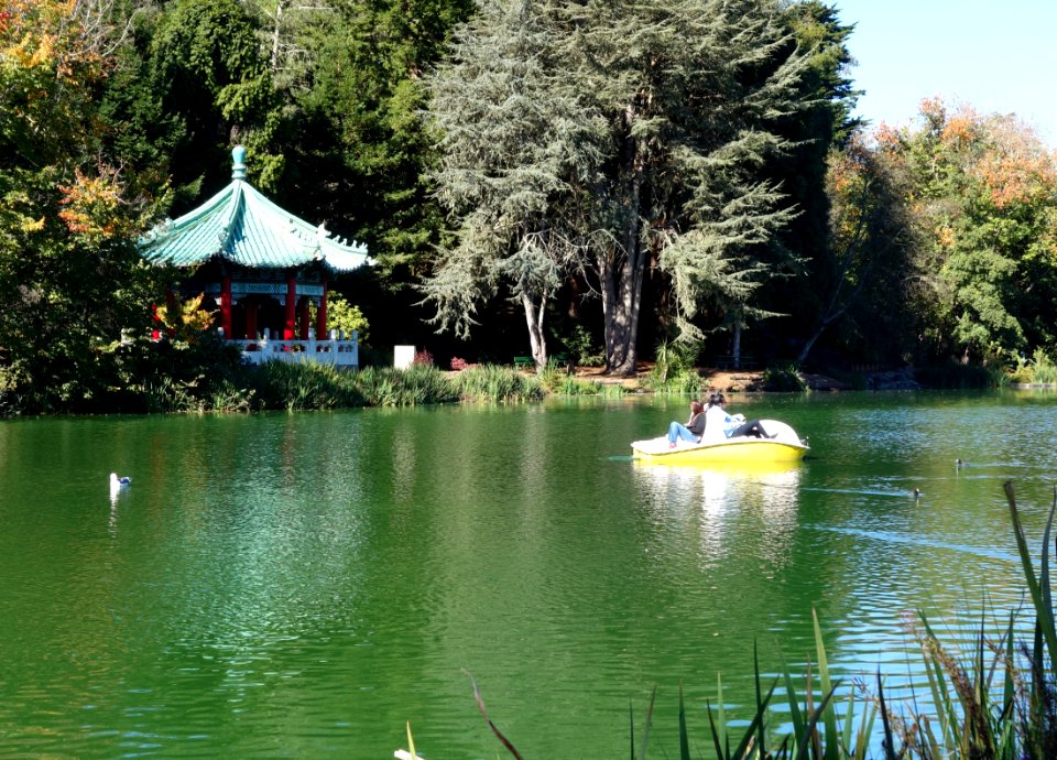 Stow Lake - Golden Gate Park, San Francisco, CA - DSC09751