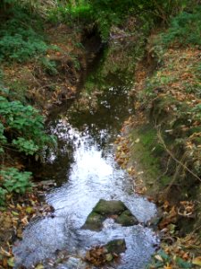 Straßbach unterhalb L 3351, 2
