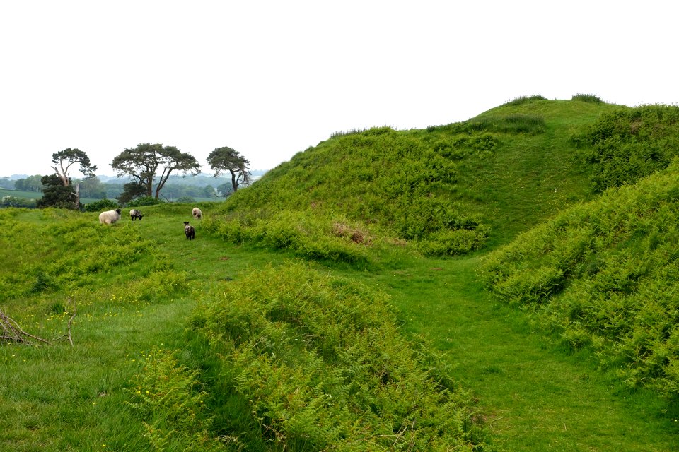 Stowey Castle - Nether Stowey - Somerset, England - DSC01222