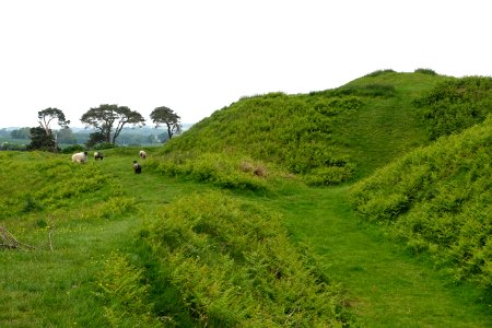 Stowey Castle - Nether Stowey - Somerset, England - DSC01222