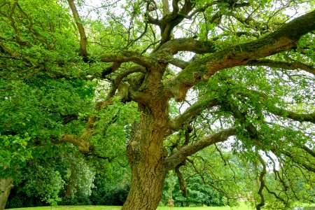 Stowe Gardens - Buckinghamshire, England - DSC07399