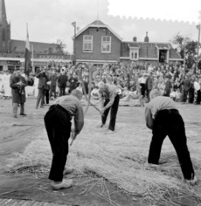 Stoppelhaene (roggeoogstfeest), bindwedstrijd, Bestanddeelnr 916-7904