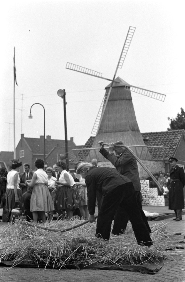 Stoppelhaenefeest in Raalte Dorsen en boeren, Bestanddeelnr 912-8656