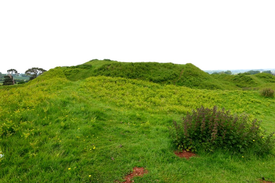 Stowey Castle - Nether Stowey - Somerset, England - DSC01225
