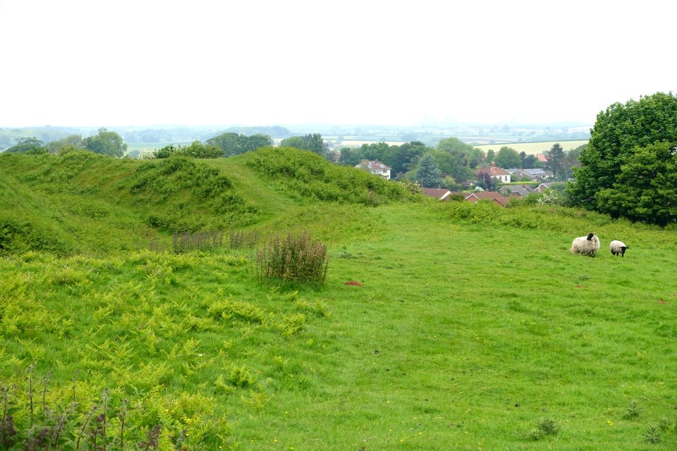 Stowey Castle - Nether Stowey - Somerset, England - DSC01227