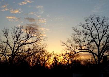 Sunrise in Summit New Jersey with trees and sky and clouds