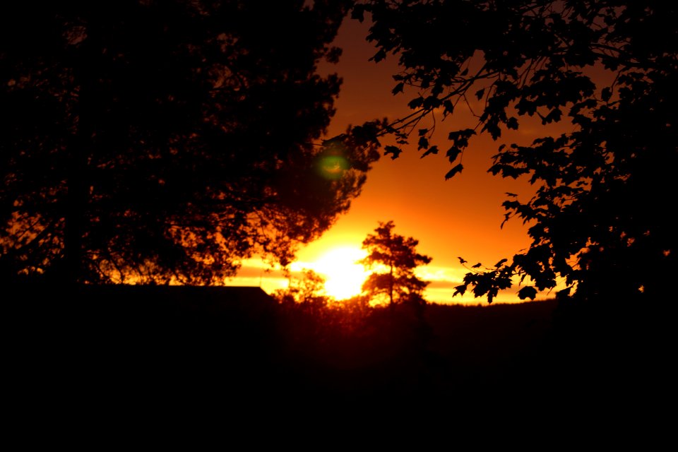 Sunrise at Teen Ranch
