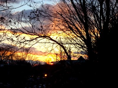 Sunset in Summit NJ looking west through trees with clouds photo