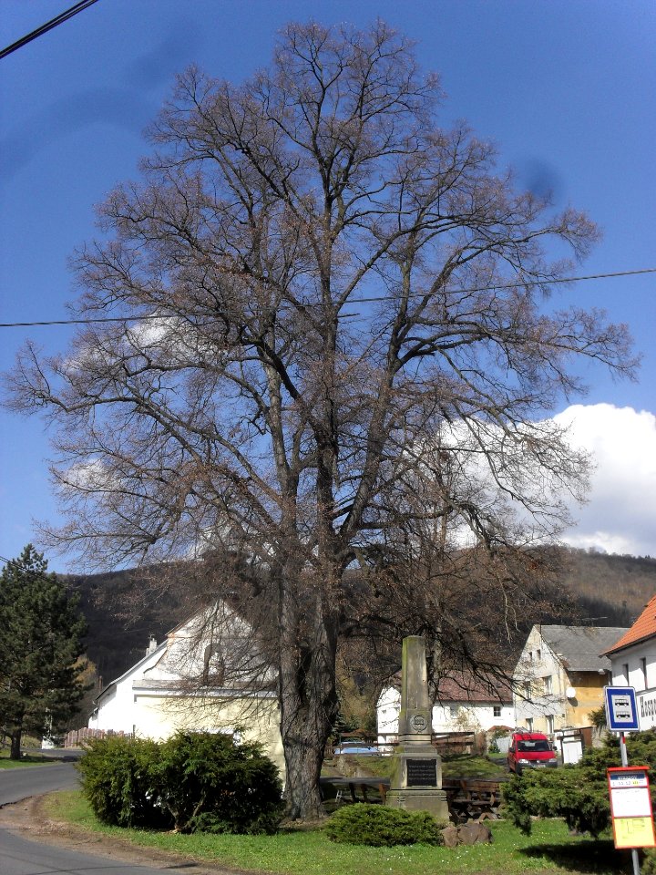 STRÁDOV 24