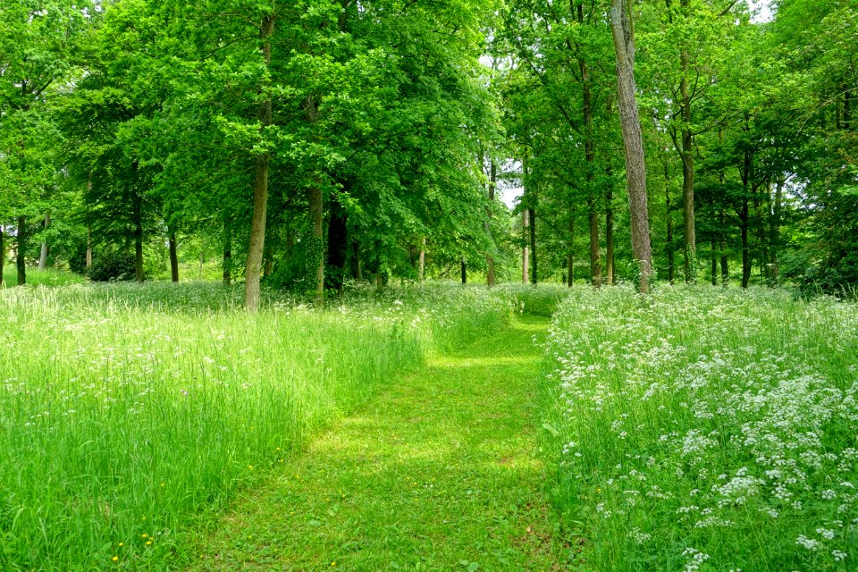 Stowe Gardens - Buckinghamshire, England - DSC06981