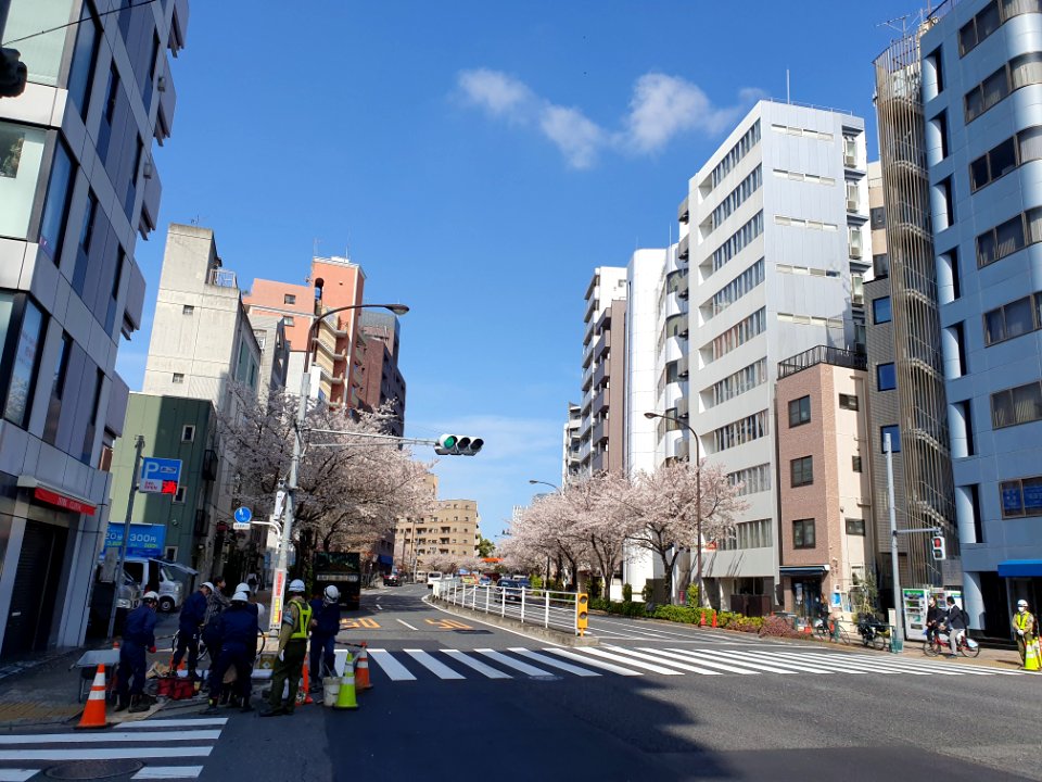Sunny day in Hiroo 2