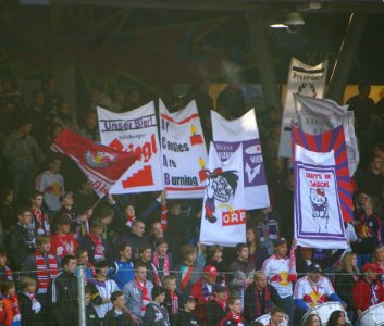 Supporters Salzburg4