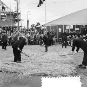 Stoppelhaene (roggeoogstfeest), bindwedstrijd, Bestanddeelnr 916-7892