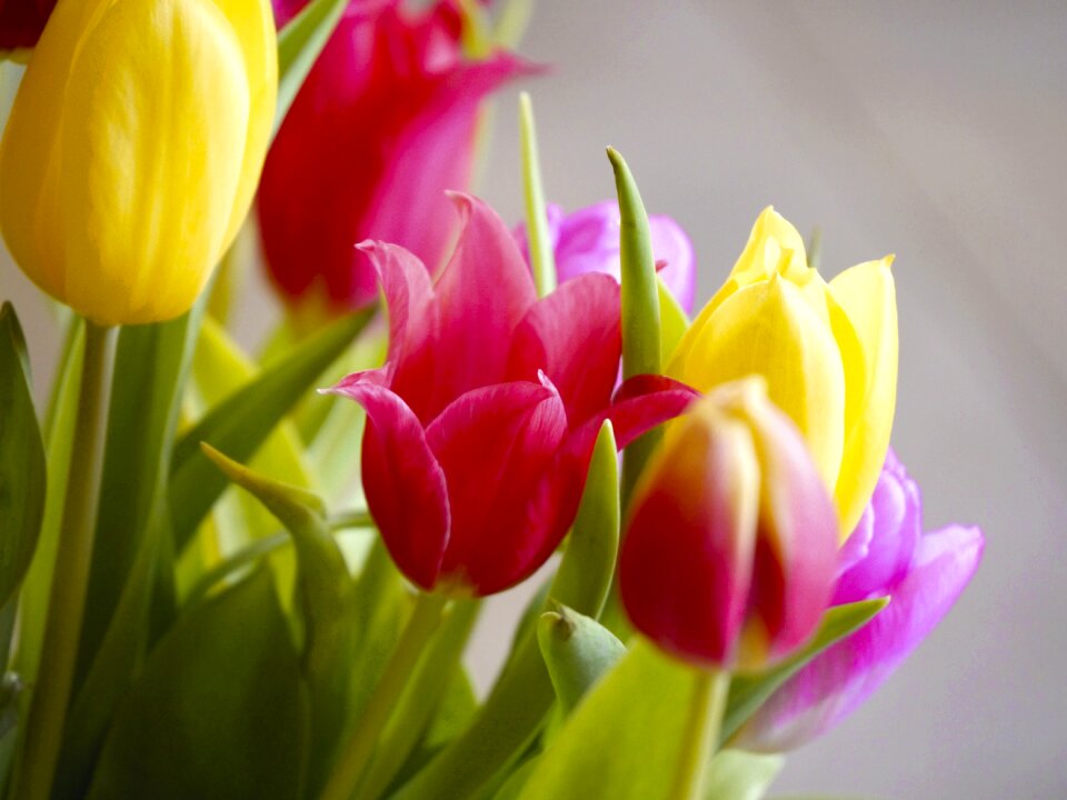 Federal government spring bloom