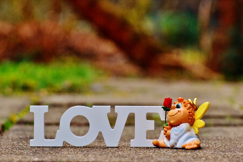 Valentine's day love cute