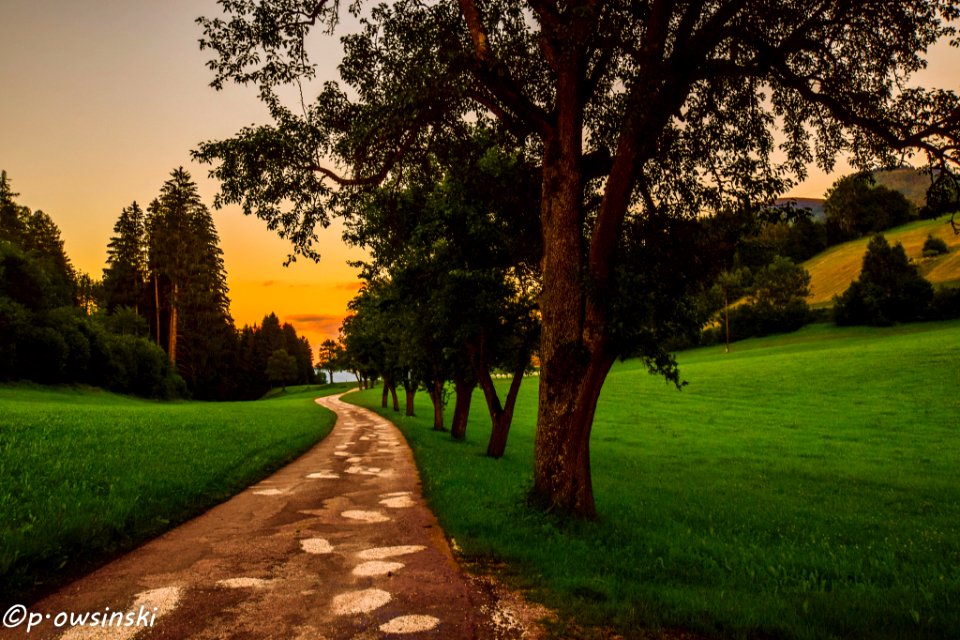 Sunset Over Rural Road Austria (180863807)