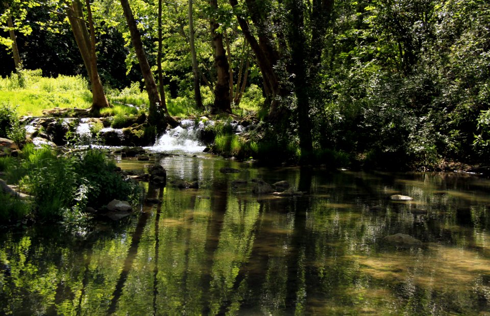 Sur le sentier des berges du Lez