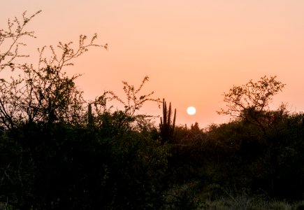 Sunset in Margarita xerophytic 2