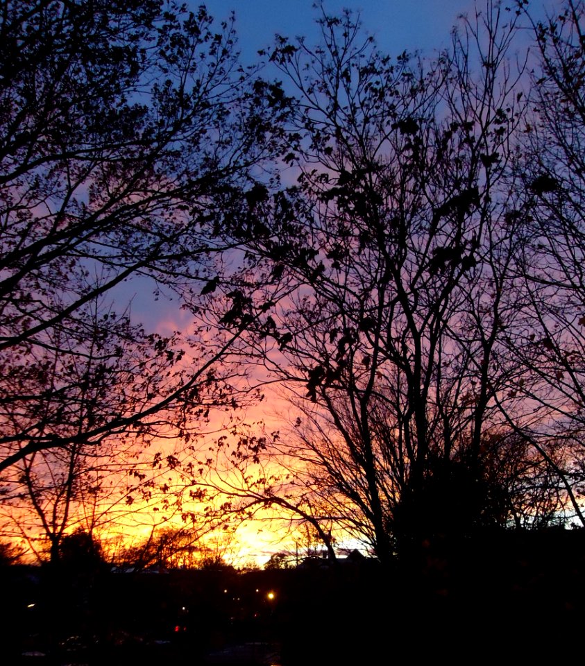 Sunset in NJ wintertime bare trees many colors parking lot