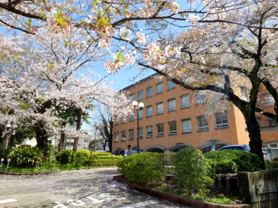 Sunny day in Hiroo